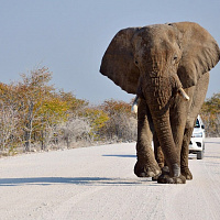 Намибия за 10 дней. Сафари-Тур на арендованном автомобиле