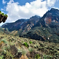 Uganda. Climb Rwenzori Mountains Weismans Peak 4620 m. and Safari in Queen Elizabeth NP