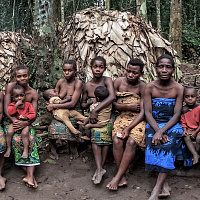 Камерун. Знакомство с уникальными Африканскими племенами включая Пигмеев Камеруна. Тур на 10 дней