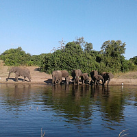 Намибия, Ангола, Ботсвана (заповедник Чобе) и Зимбабве (водопад Виктория).Сафари тур через 4 страны Африки за 12 дней 