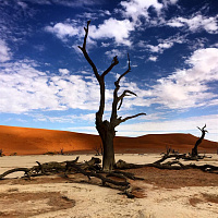 Namibia. Whole Country in 10 days Camping Safari